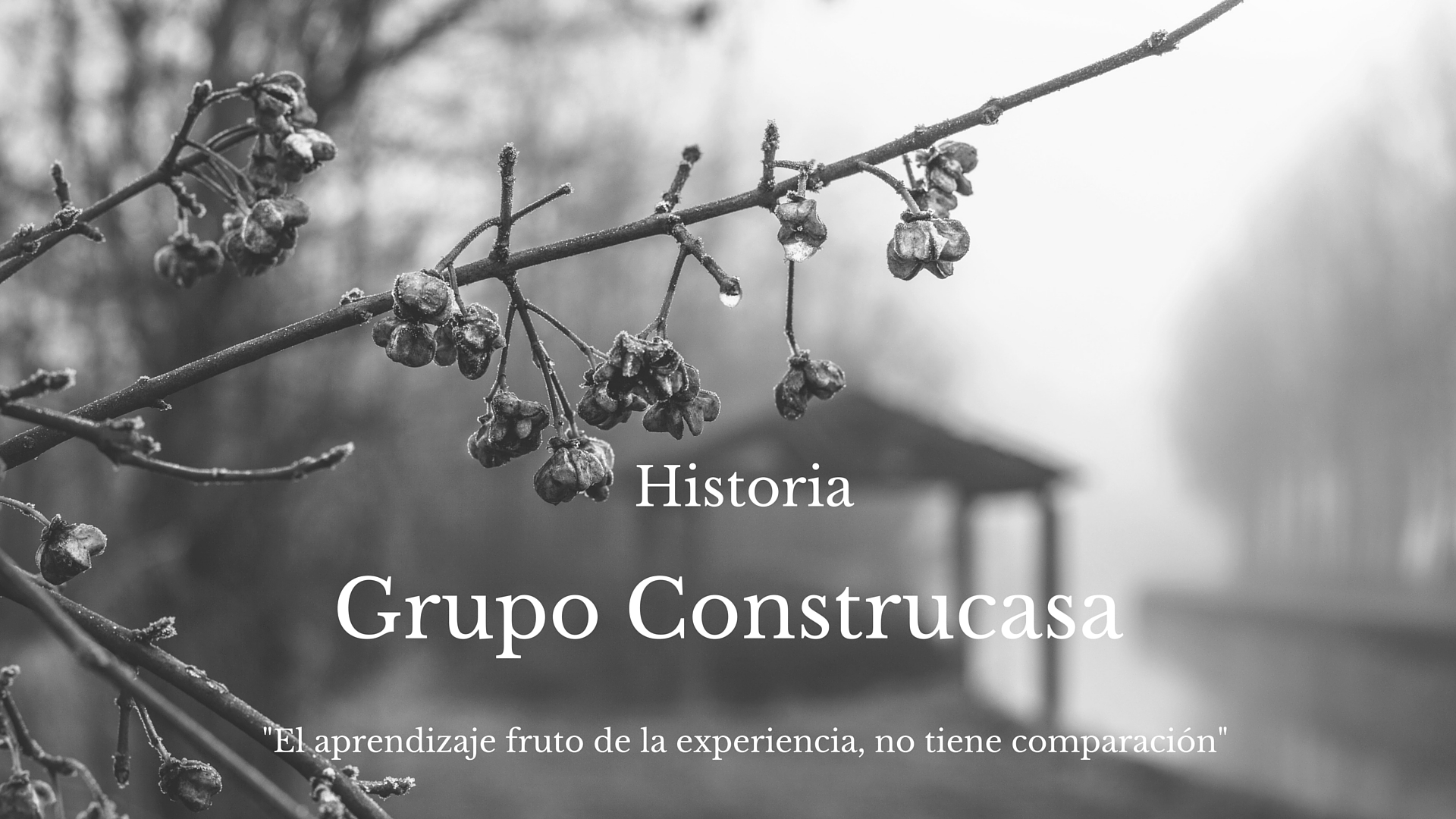 historia Grupo Construcasa